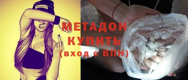 прущие грибы Иннополис