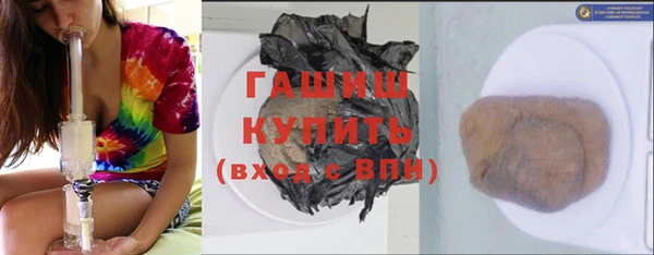 прущие грибы Иннополис