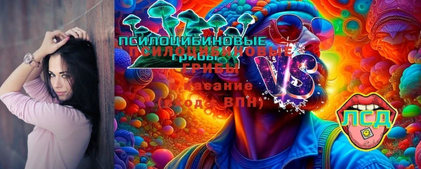 mdma Инта