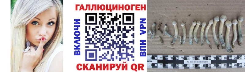 Купить  Донецк  Псилоцибиновые грибы Cubensis 